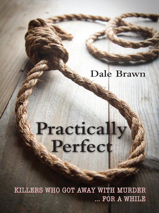 Title details for Practically Perfect by Dale Brawn - Wait list